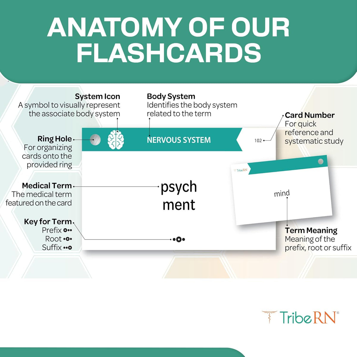 Medical Terminology Flashcards - 500 Double Sided Cards