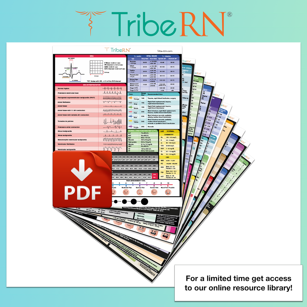 ClinicalGuru Set - Nursing Clipboard with Storage and Heavy Duty Cheat Sheet Set